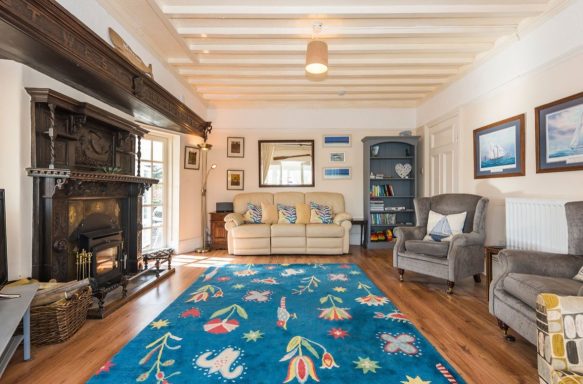 Bright living room with a blue patterned rug, comfortable seating, and a fireplace.