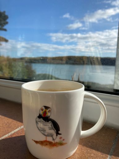 A coffee mug with a puffin illustration beside a scenic lake view under a blue sky.