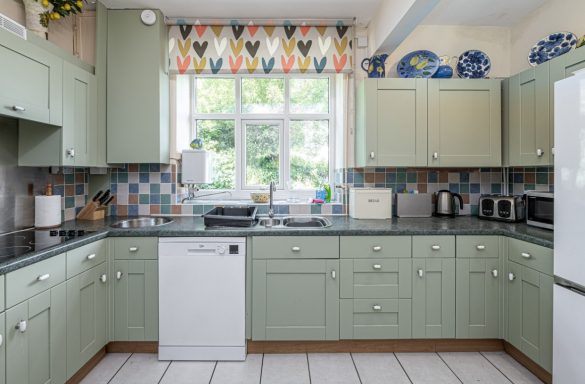 Bright kitchen with green cabinets, patterned curtains, and modern appliances.